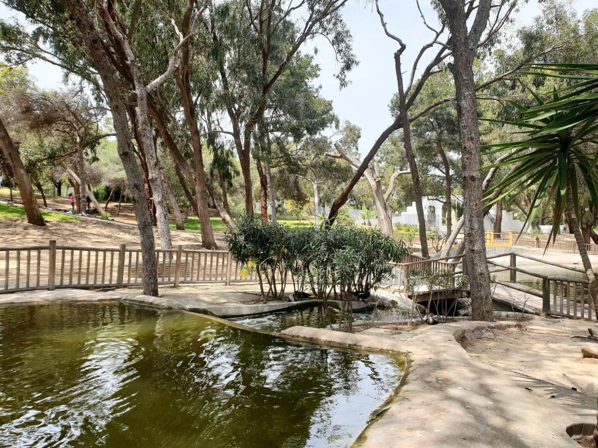 Apartamento Parque Sur Guardamar del Segura Exterior foto